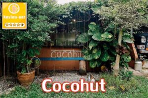 Cocohut