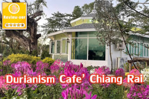 Durianism Cafe’ Chiang Rai